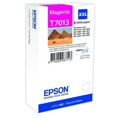 Cartus Imprimanta Epson C13T70134010 Magenta