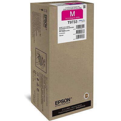 Cartus Imprimanta Epson C13T973300 Magenta